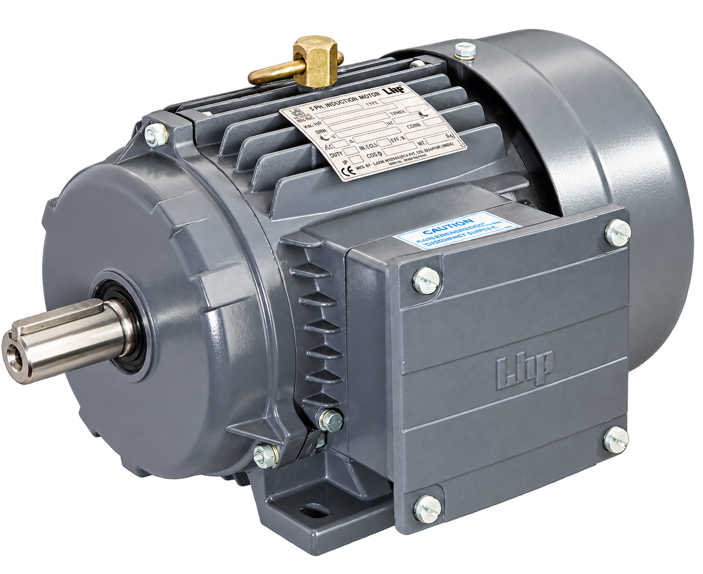 LHP crane and hoist duty motor