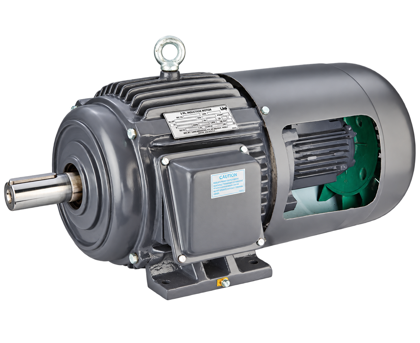 LHP inverter duty motor