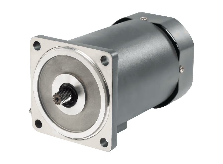 Lubi Standard Gear Motor